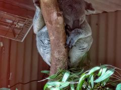 -费瑟代尔野生动物园