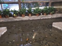 -塔布渔锅(紫御江山店)