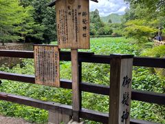 -岚山嵯峨野观光小火车