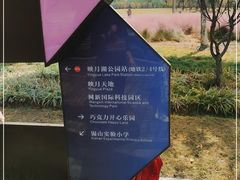 -映月湖中央公园