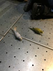 -酷嗒动物文化乐园(cutezoo西溪乐天城店)