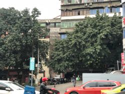 -重庆市九龙坡区妇幼保健院(B区)