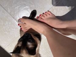 -恐龙·美甲美睫