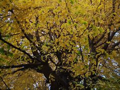 -水峪民俗村