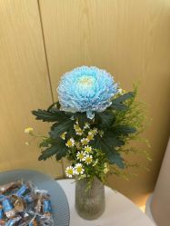 -苑苑vbeauty科技美容SPA