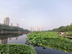 -前关湿地公园