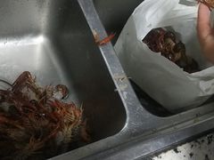 -多特儿童专注力·感统训练·注意力提升培训(锦峰训练中心)
