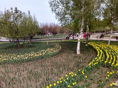 -长春公园(普阳街道)