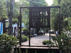 -瑞穗牧场