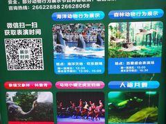 -深圳野生动物园