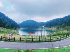 -武陵山森林公园