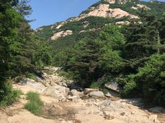 -无染寺