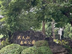 -番禺大夫山森林公园