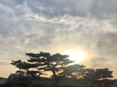 -景福宫