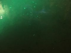 -宝丽金大酒店·洗浴中心