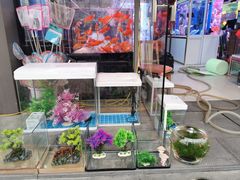 -本溪路花鸟市场(江浦路1709弄小区店)