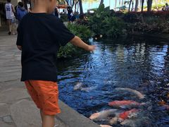 -希尔顿夏威夷度假村之希尔顿分时度假俱乐部套房酒店