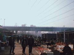 -中环花鸟鱼虫市场
