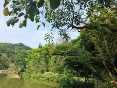 -云溪植物园