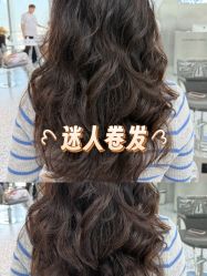 -天使之手plus