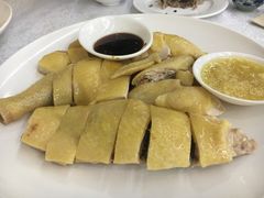 -渔鸽皇酒楼(鸿大广场店)