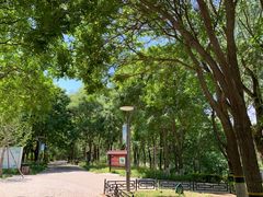 -大兴滨河森林公园