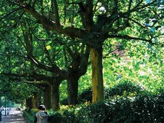 -山东外贸职业学院