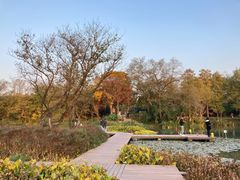 -西溪国家湿地公园