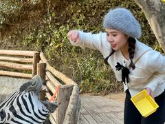 -泉州海丝野生动物世界