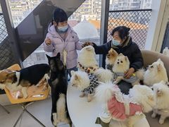 -怪兽屋·羊驼·猫咖·狗咖(俊华广场店)