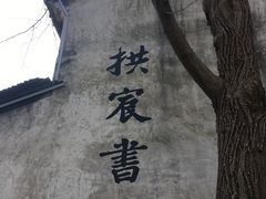 -运河游船(武林门码头)