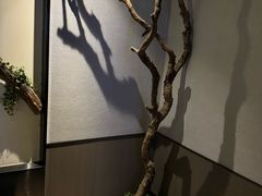 -上足·影院足道·SPA(红岭店)
