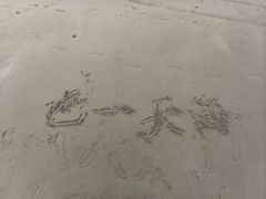 -贝壳沙滩