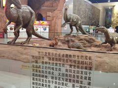 -中国西峡恐龙遗迹园