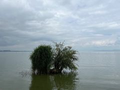 -捞渔河湿地公园