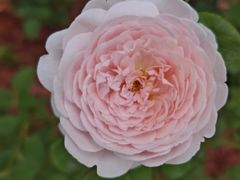 -滨河世纪广场公园