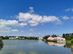 -上海长兴岛郊野公园