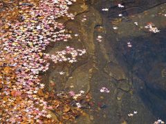 -崂山九水游览区