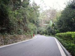-三门江国家森林公园