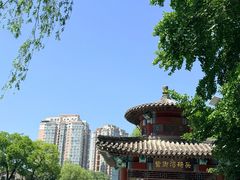 -皇家御河游(紫御湾码头)