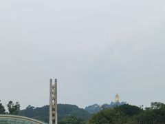 -南山植物园