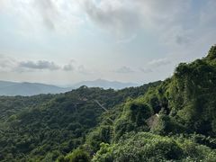 -三亚亚龙湾人间天堂鸟巢度假村