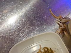-7只羊·鲜羊肉串·地锅鸡精酿(玄武墨香路店)