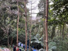 -广州市白云山风景名胜区