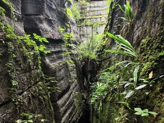 -梭布垭石林景区