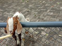 -长白岛森林公园