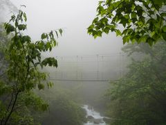 -大鄣山卧龙谷景区