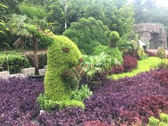 -石家庄市动物园