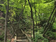 -大连天门山国家森林公园