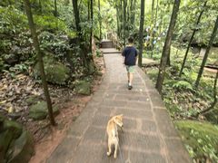 -赤水丹霞旅游区·佛光岩